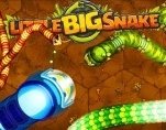 Игра Little Big Snake.io | Большая Змейка ио